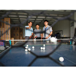智能乒乓球机器人工厂-智能乒乓球机器人-智能双蛇乒乓球发球机