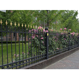 铁艺栏杆-别墅院子围栏-公园铁艺栏杆