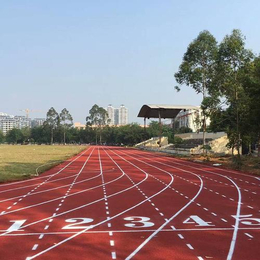 立美建材品牌认证-卷材塑胶跑道哪家好-湖州卷材塑胶跑道