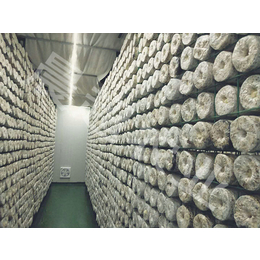河北晨超(图)-蘑菇网格架厂家-四平网格架
