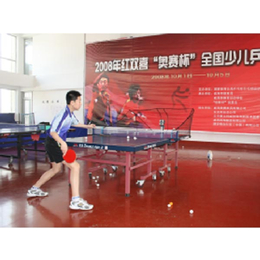 浙江自动乒乓球发球机-双蛇乒乓球发球机-自动乒乓球发球机价格