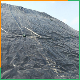 土工布-土工膜-*池防渗HDPE土工膜
