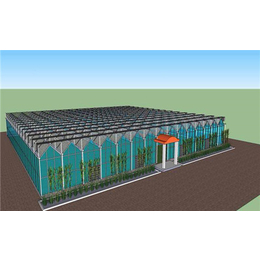齐鑫温室玻璃大棚造价-温室大棚承建-智能温室大棚承建