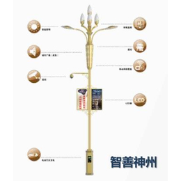 成都城市及道路照明项目合作 成都路灯生产厂家 智慧灯杆企业