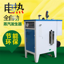 电加热蒸汽发生器-武汉诺贝思(在线咨询)-广州蒸汽发生器