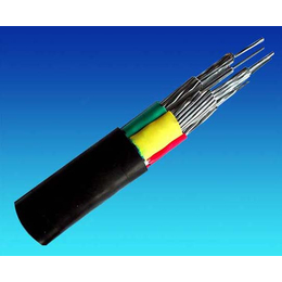 铜芯电力电缆-电力电缆-合肥安通电力电缆(查看)