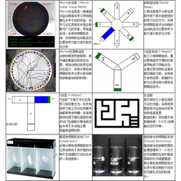 动物行为学整体解决方案