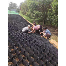 河堤生态绿化护坡 塑料土工格室 蜂巢约束系统