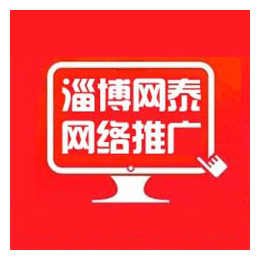 淄博网泰科技(图)-淄博外贸网站制作公司-周村外贸网站制作