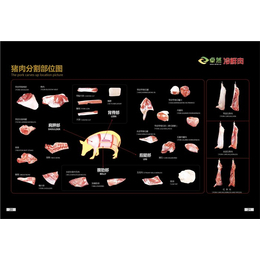 进口猪肉-千秋食品-猪肉进口企业