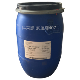 水漆润湿剂价格-烟台仁飞熊(在线咨询)-广东水漆润湿剂