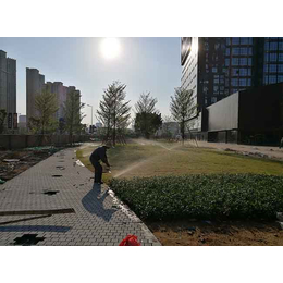灌溉工程多少钱-灌溉工程-福州雨顺灌溉设备价格(查看)