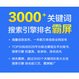 仙桃网络推广-91搜霸-网络推广报价