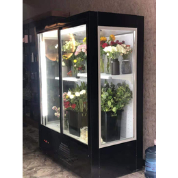 鲜花柜品牌-【郑州冰源制冷设备】(在线咨询)-淮滨鲜花柜