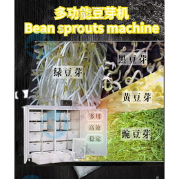 家用豆芽机使用方法 无根豆芽机器全自动 黑河豆芽机供应商