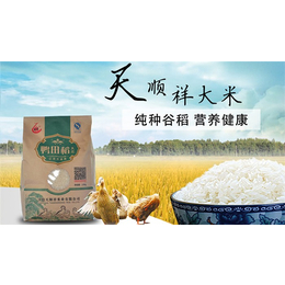 大米供应商-姿蕴【米香醇厚】-抚顺大米