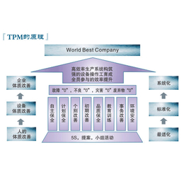 精卓企业管理咨询(图)-tpm管理咨询公司-tpm管理咨询