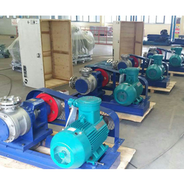 高粘度转子泵生产厂家-山东高粘度转子泵-北京恒盛泵业