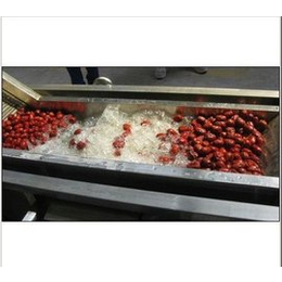 卢湾果蔬清洗机-龙祥食品机械定制加工-气泡果蔬清洗机厂家