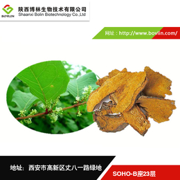 白藜芦醇供应商-白藜芦醇-陕西博林生物