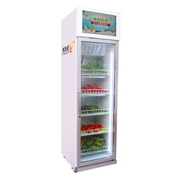 自动售菜机价格-惠逸捷智能恒温制冷锁鲜-桂林售菜机