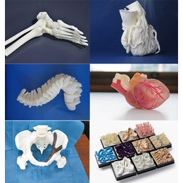 武汉3D模型制作牙模3D打印服务手板加工3d抄数画图
