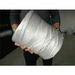 重庆塑料绳批发价-瑞祥包装厂家*-三股塑料绳批发价