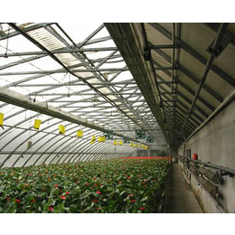 农机补贴温室大棚厂-合肥温室大棚-合肥润绿