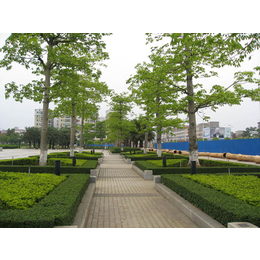 园林植物养护-杭州绿博园艺有限公司-园林植物养护价格