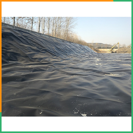 土工膜-泰安沃特尔(图)-垃圾雨污分流覆盖土工膜