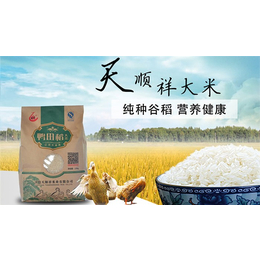 大米生产厂家-姿蕴【用料天然】-朝阳大米