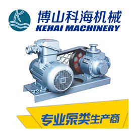 上海屏蔽泵怎么收费-上海屏蔽泵-科海泵业