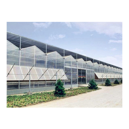 智能温室-青州瑞青农林科技-生态智能温室大棚承建