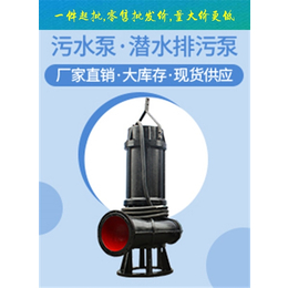 铸铁污水泵-天津 中蓝泵业-污水泵厂家