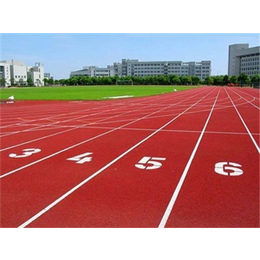 天津金康体育设施工程(图)-天津塑胶跑道公司-天津塑胶跑道